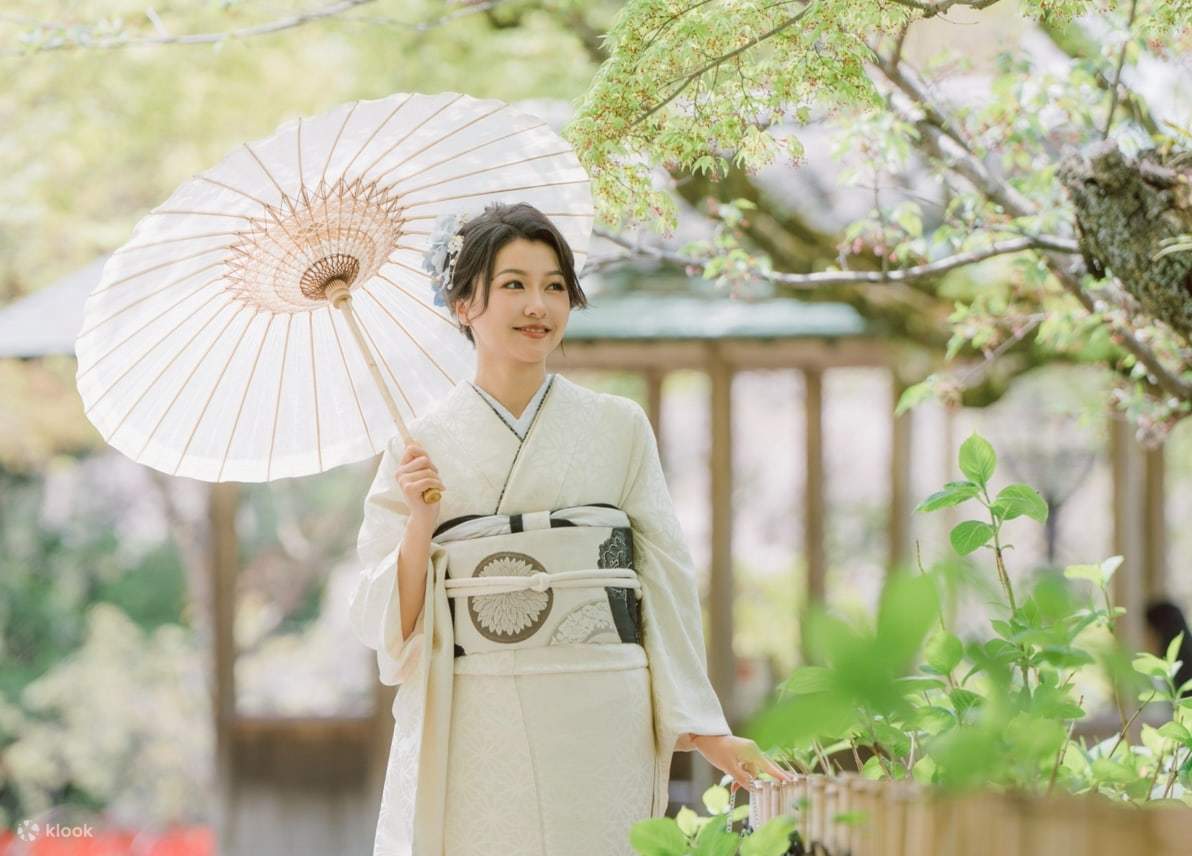 京都きもの学院　着物着付けボディ 京都きもの学院 着物 着付け 練習 稽古 ボディ トルソー 高さ